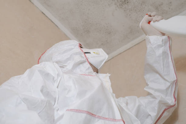 Crawl Space Mold Removal in Sale Creek, TN